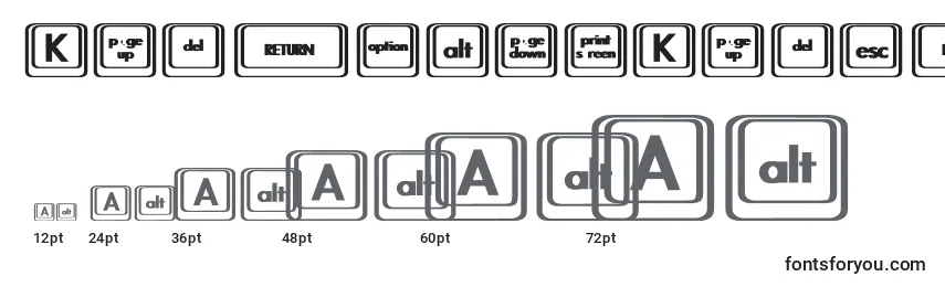 KeyboardKeysbtBold Font Sizes