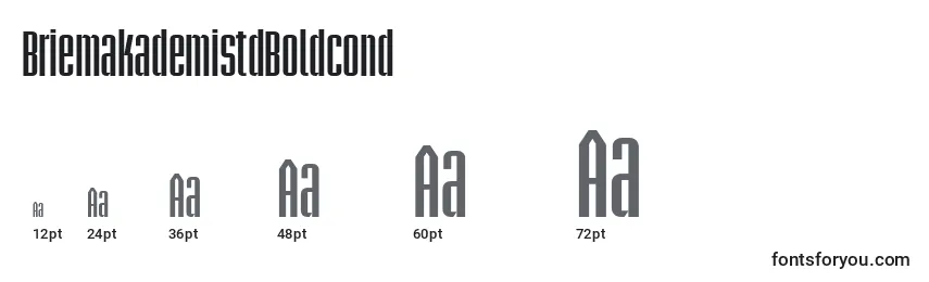 BriemakademistdBoldcond Font Sizes