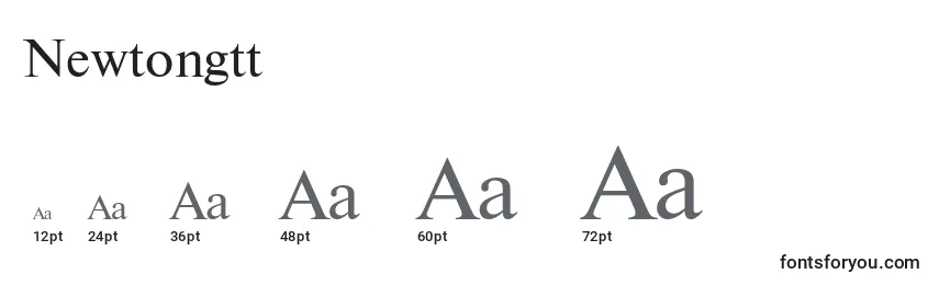 Newtongtt Font Sizes