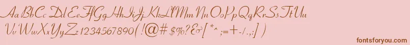 CyrillicribbonMedium Font – Brown Fonts on Pink Background
