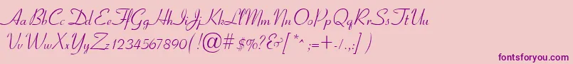 CyrillicribbonMedium Font – Purple Fonts on Pink Background
