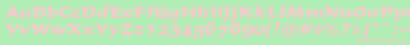 DerbyRegular Font – Pink Fonts on Green Background