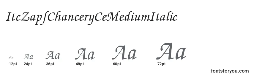 Размеры шрифта ItcZapfChanceryCeMediumItalic