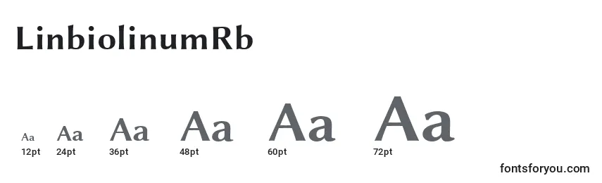 Größen der Schriftart LinbiolinumRb
