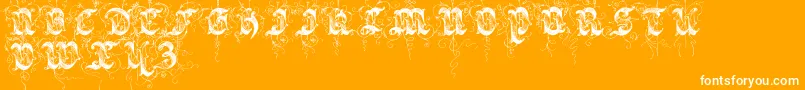 Saraband-Schriftart – Weiße Schriften auf orangefarbenem Hintergrund