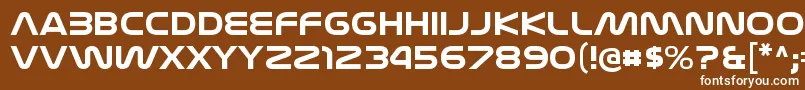 フォントNasalizationexBold – 茶色の背景に白い文字