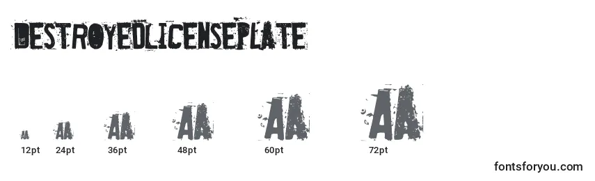 Размеры шрифта DestroyedLicensePlate