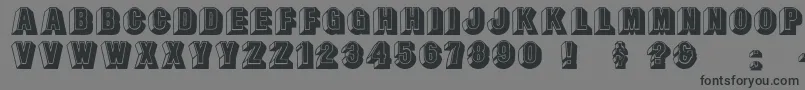 フォントLeecaps – 黒い文字の灰色の背景