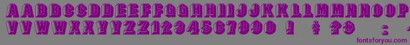 フォントLeecaps – 紫色のフォント、灰色の背景