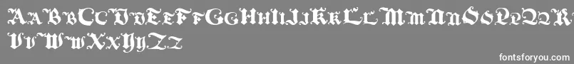 フォントBlackinitialtext – 灰色の背景に白い文字