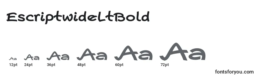 Размеры шрифта EscriptwideLtBold
