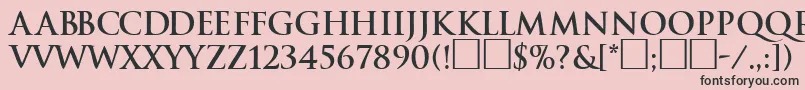 TraditionBoldDb Font – Black Fonts on Pink Background
