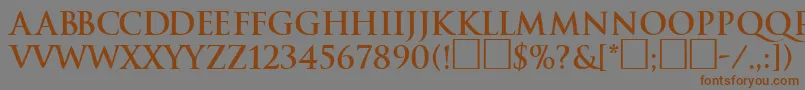 フォントTraditionBoldDb – 茶色の文字が灰色の背景にあります。