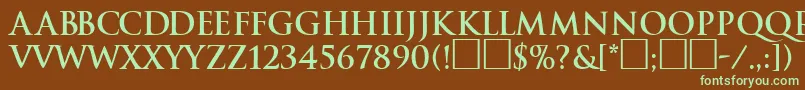 TraditionBoldDb Font – Green Fonts on Brown Background