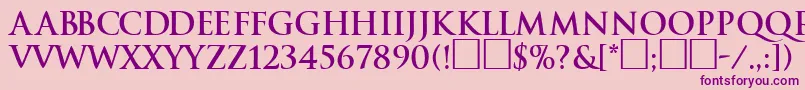 TraditionBoldDb Font – Purple Fonts on Pink Background