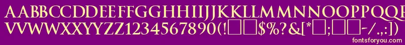 TraditionBoldDb Font – Yellow Fonts on Purple Background