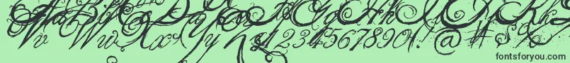 TheKing26QueenFont Font – Black Fonts on Green Background