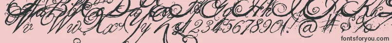 TheKing26QueenFont-Schriftart – Schwarze Schriften auf rosa Hintergrund