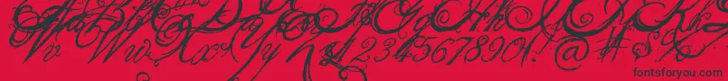 TheKing26QueenFont Font – Black Fonts on Red Background