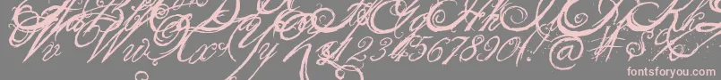 Шрифт TheKing26QueenFont – розовые шрифты на сером фоне