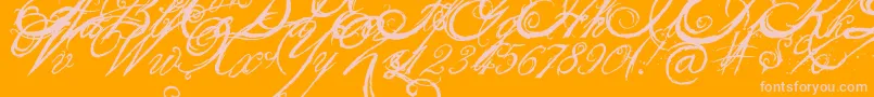 More about TheKing26QueenFont Font TheKing26QueenFont Font – Pink Fonts on Orange Background