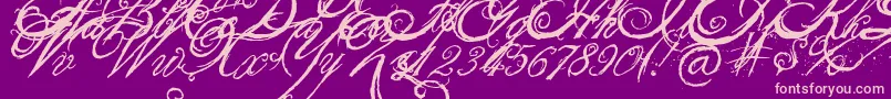 TheKing26QueenFont Font – Pink Fonts on Purple Background