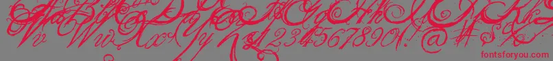 Police TheKing26QueenFont – polices rouges sur fond gris