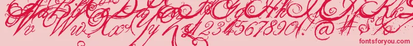 TheKing26QueenFont Font – Red Fonts on Pink Background