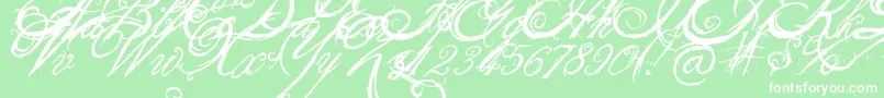 TheKing26QueenFont Font – White Fonts on Green Background