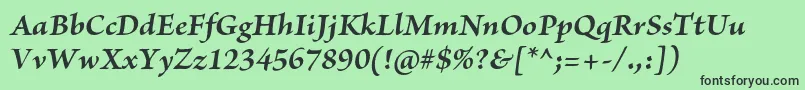 BriosoproBoldit Font – Black Fonts on Green Background