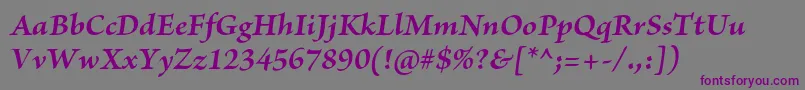 BriosoproBoldit Font – Purple Fonts on Gray Background