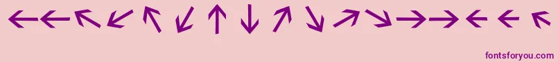 Sebastianarrrowstextbold Font – Purple Fonts on Pink Background