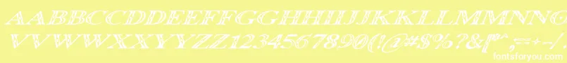 Occoital Font – White Fonts on Yellow Background