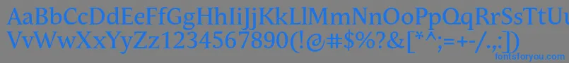 More about AndulkaTextPro Font AndulkaTextPro Font – Blue Fonts on Gray Background