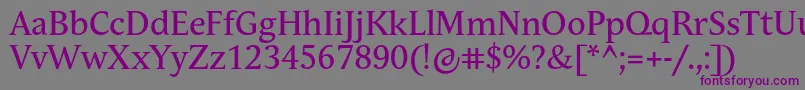 AndulkaTextPro Font – Purple Fonts on Gray Background