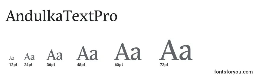 Размеры шрифта AndulkaTextPro