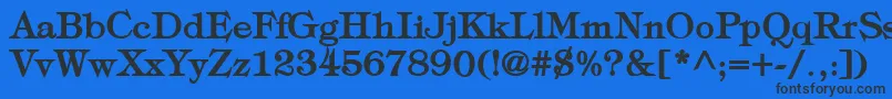 TypographyTimesBold Font – Black Fonts on Blue Background