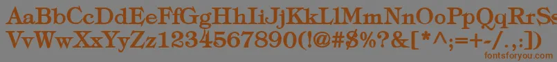 TypographyTimesBold Font – Brown Fonts on Gray Background