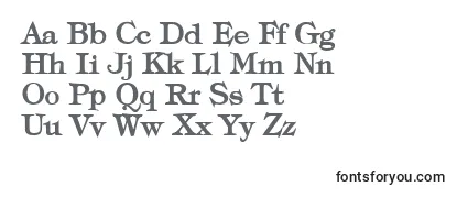 TypographyTimesBold Font