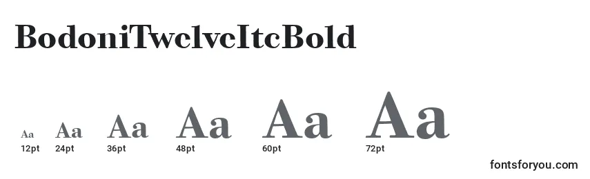 Размеры шрифта BodoniTwelveItcBold