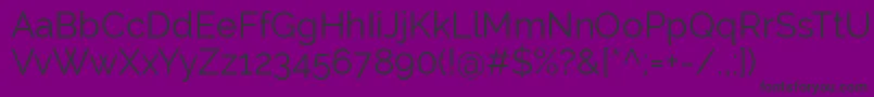 RalewayRegular Font – Black Fonts on Purple Background