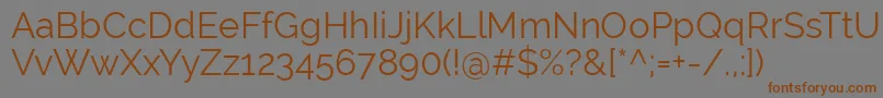 RalewayRegular Font – Brown Fonts on Gray Background