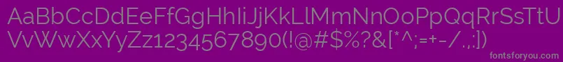 RalewayRegular Font – Gray Fonts on Purple Background