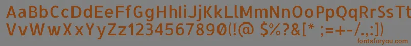 AllertaRegular Font – Brown Fonts on Gray Background