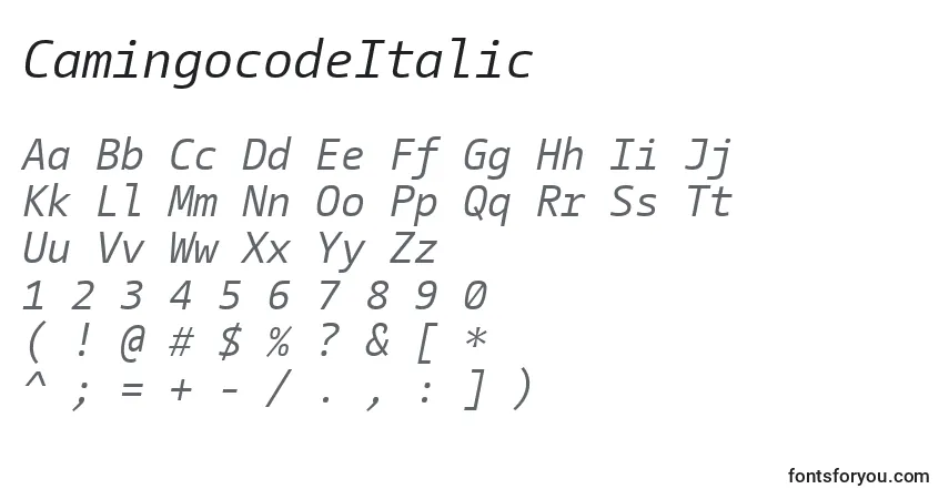 A fonte CamingocodeItalic – alfabeto, números, caracteres especiais