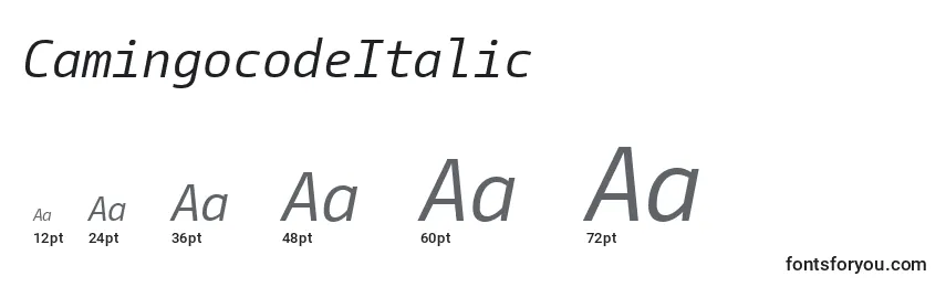 Размеры шрифта CamingocodeItalic