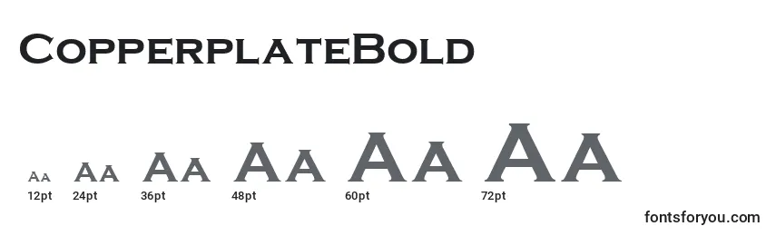 Размеры шрифта CopperplateBold