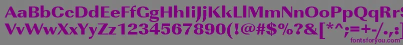 Urwimperialtultbolextwid Font – Purple Fonts on Gray Background