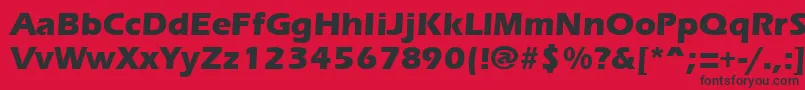 ErgoemildextraboldRegular Font – Black Fonts on Red Background