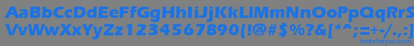 フォントErgoemildextraboldRegular – 灰色の背景に青い文字